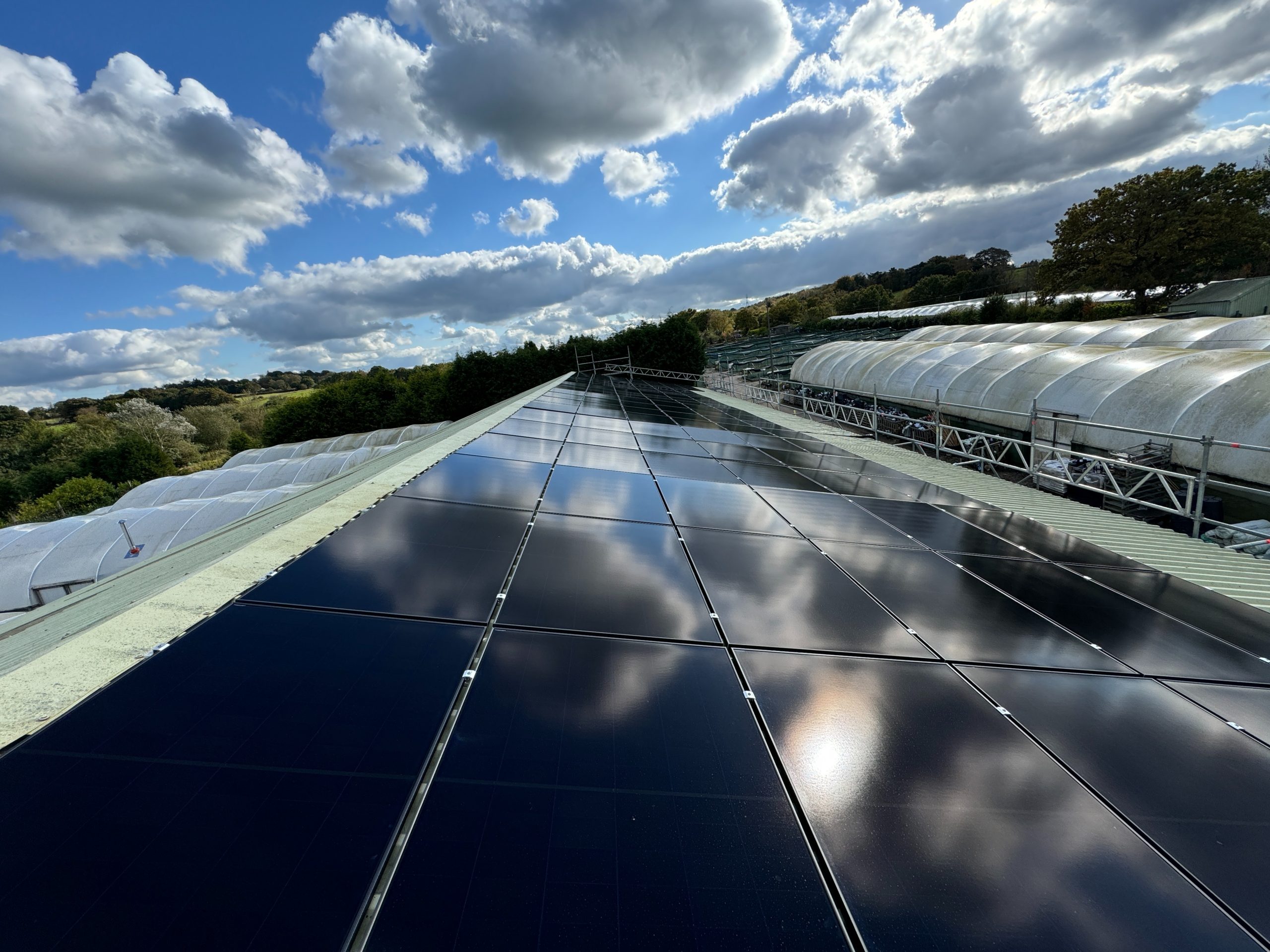 Agricultural solar panels on a trapezoidal metal barn roof at Jacksons Nurseries, with growing tunnels behind (Spectrum Energy Systems UK installation)