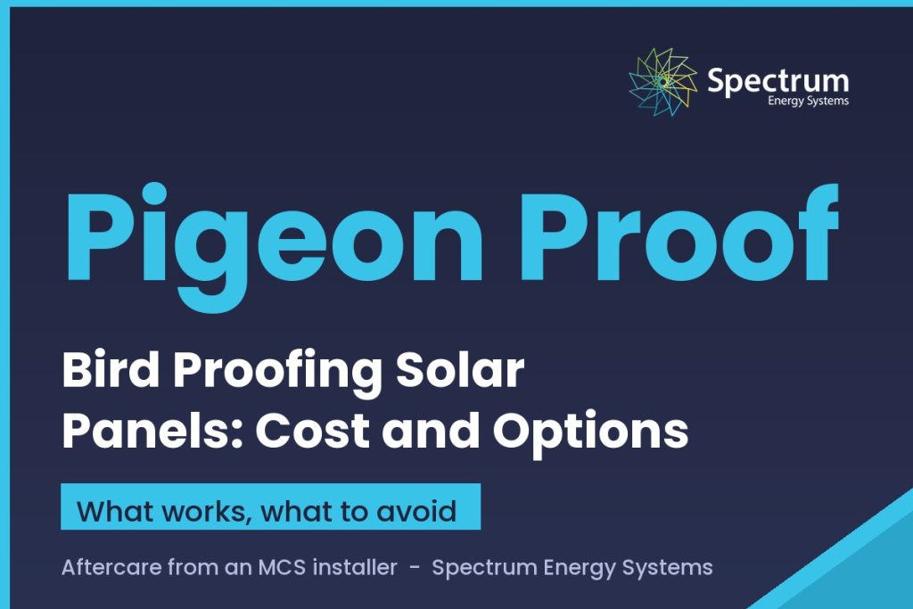 Bird proofing solar panels guide covering pigeon proofing costs and options from Spectrum Energy Systems